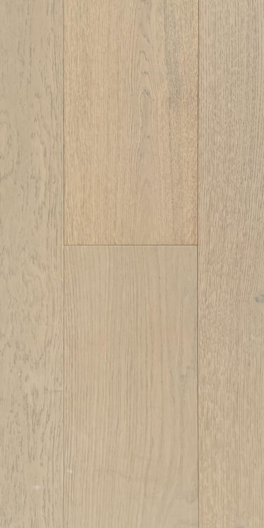 sahara