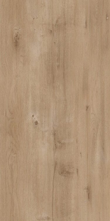 Close-up of a floor. Mediterranean Sea Collection: Crete.