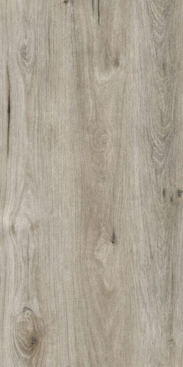 Close-up of a floor. Mediterranean Sea Collection: Elba.